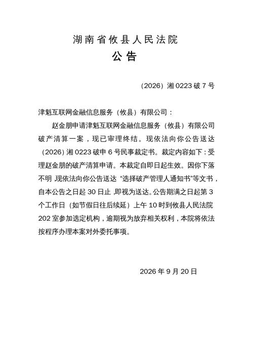 津魁互联网金融信息服务(攸县)破产清算案的法律分析与金融信息服务行业警示
